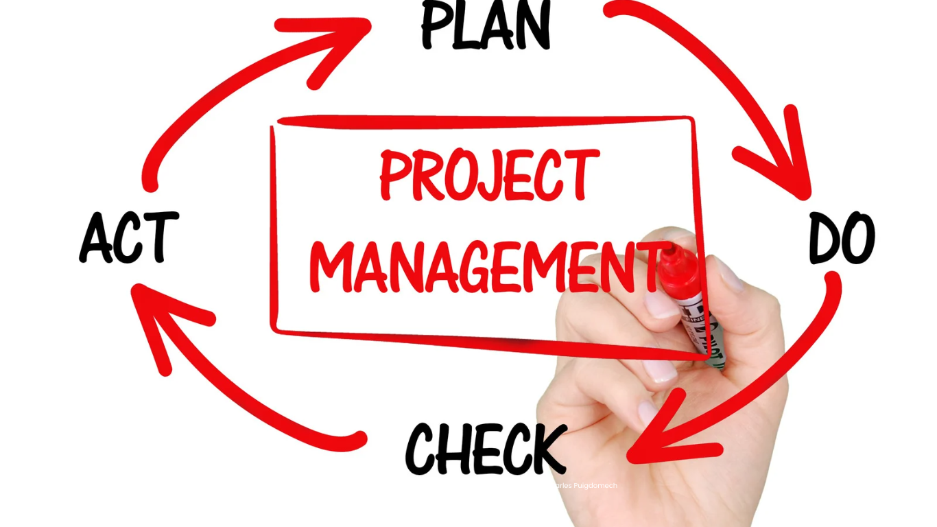 Project management